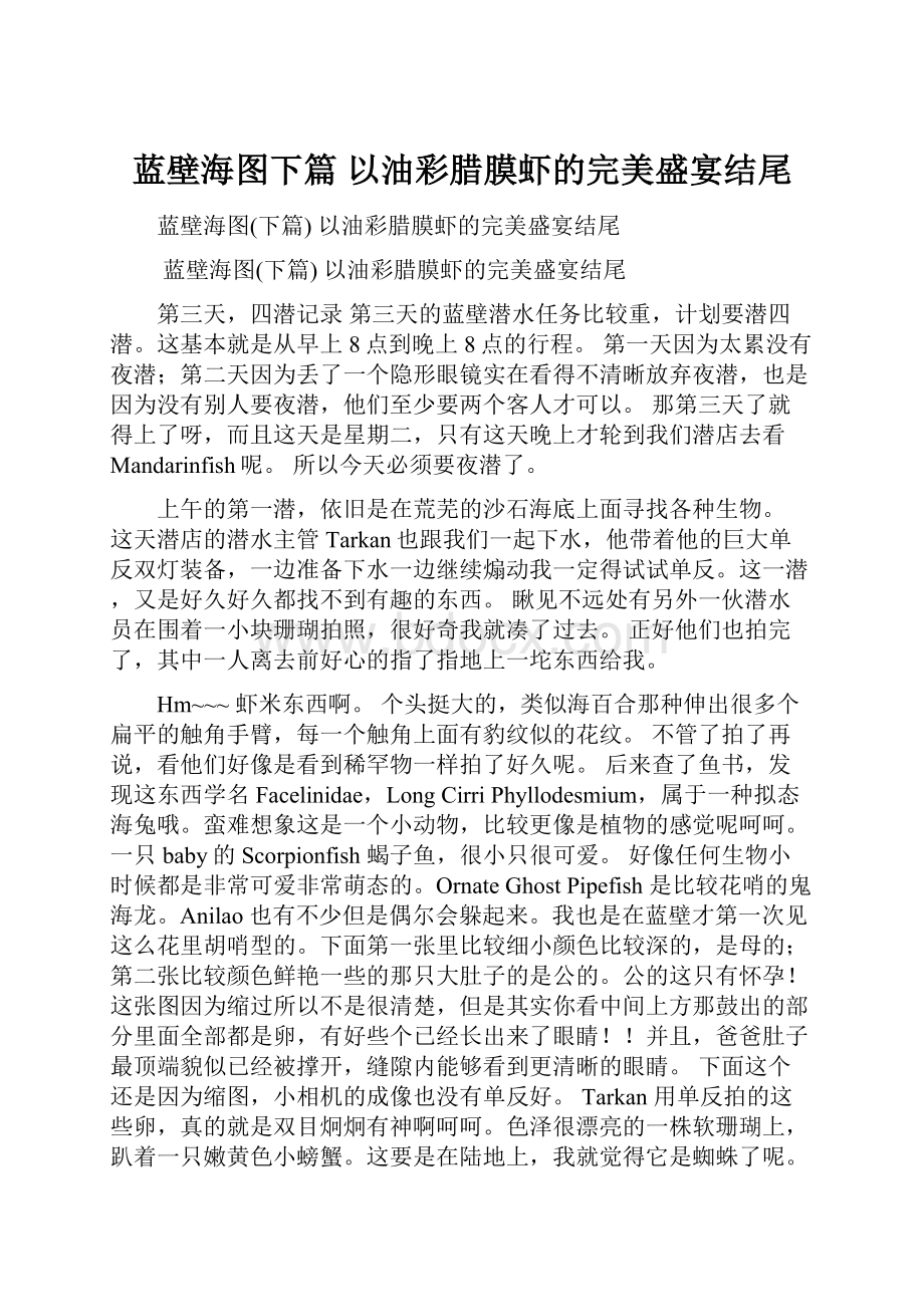 蓝壁海图下篇 以油彩腊膜虾的完美盛宴结尾.docx