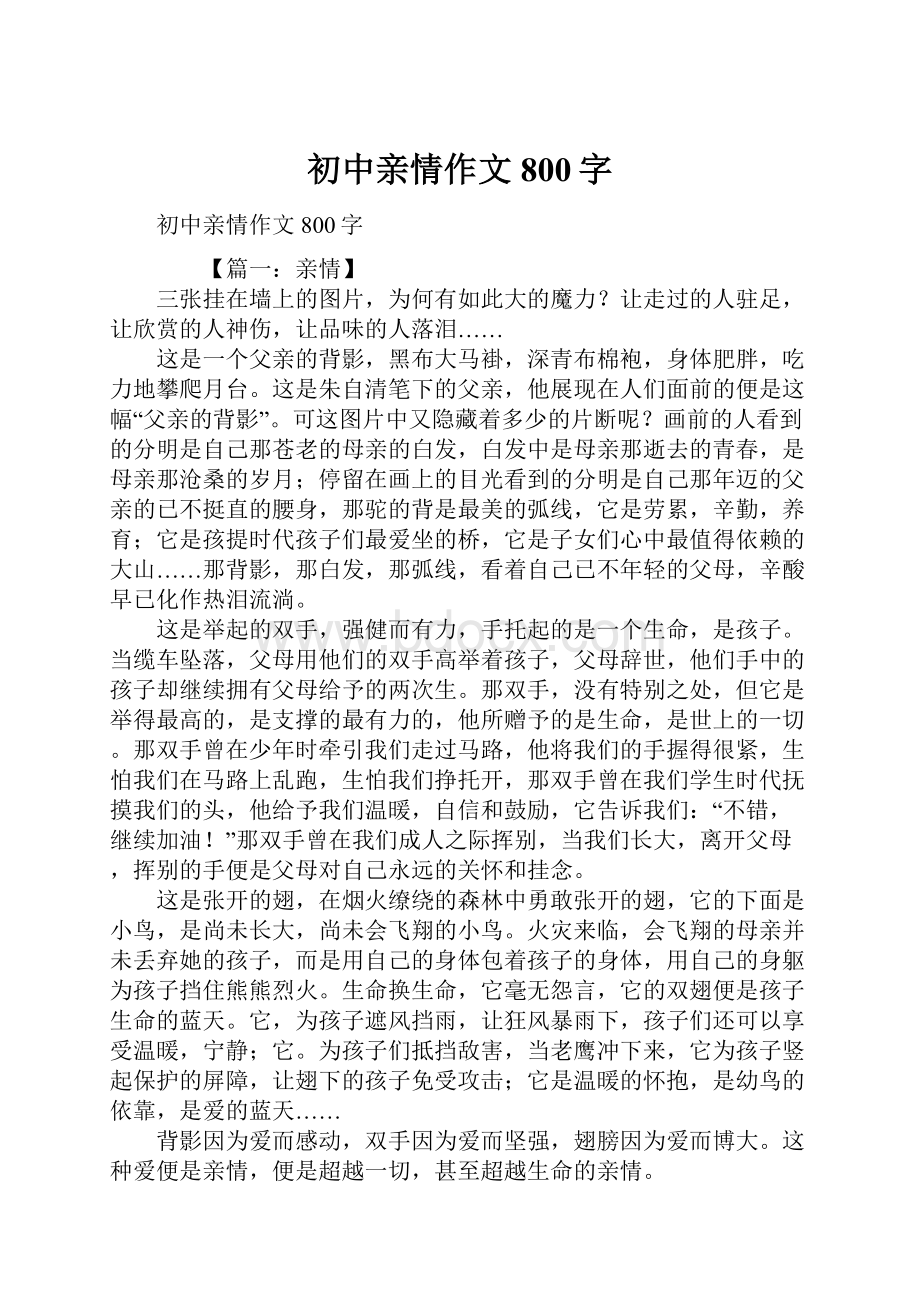 初中亲情作文800字.docx