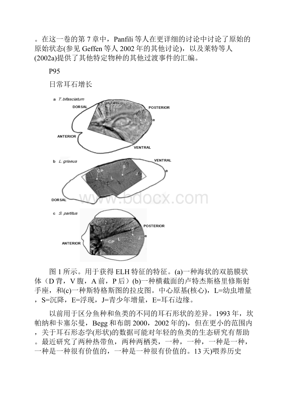 渔业资源与渔场学课件热带鱼类发育早期耳石日增量第四章专业知识模板Word格式文档下载.docx_第3页