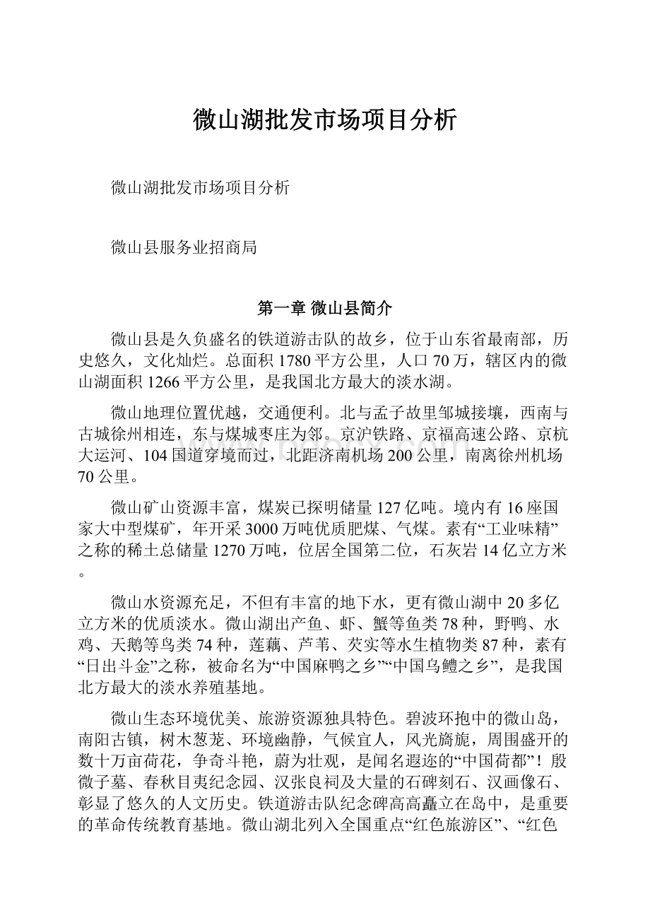 微山湖批发市场项目分析文档格式.docx_第1页