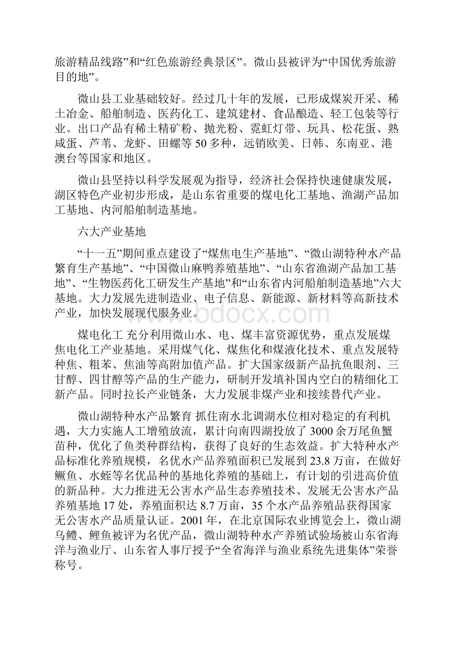 微山湖批发市场项目分析文档格式.docx_第2页