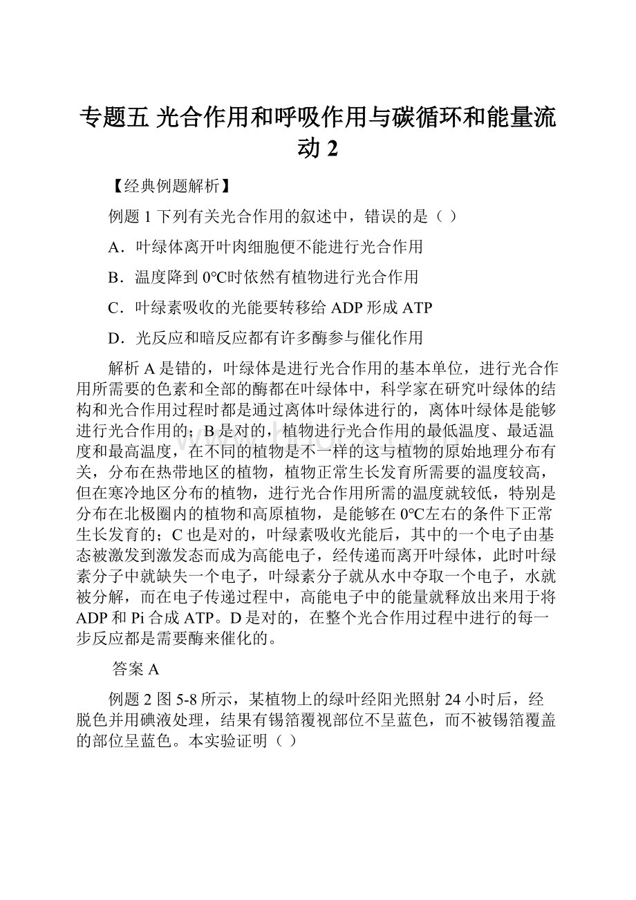 专题五 光合作用和呼吸作用与碳循环和能量流动2Word文档格式.docx