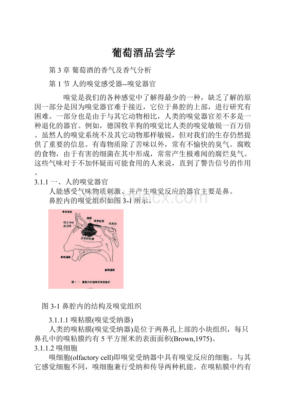 葡萄酒品尝学Word文档格式.docx