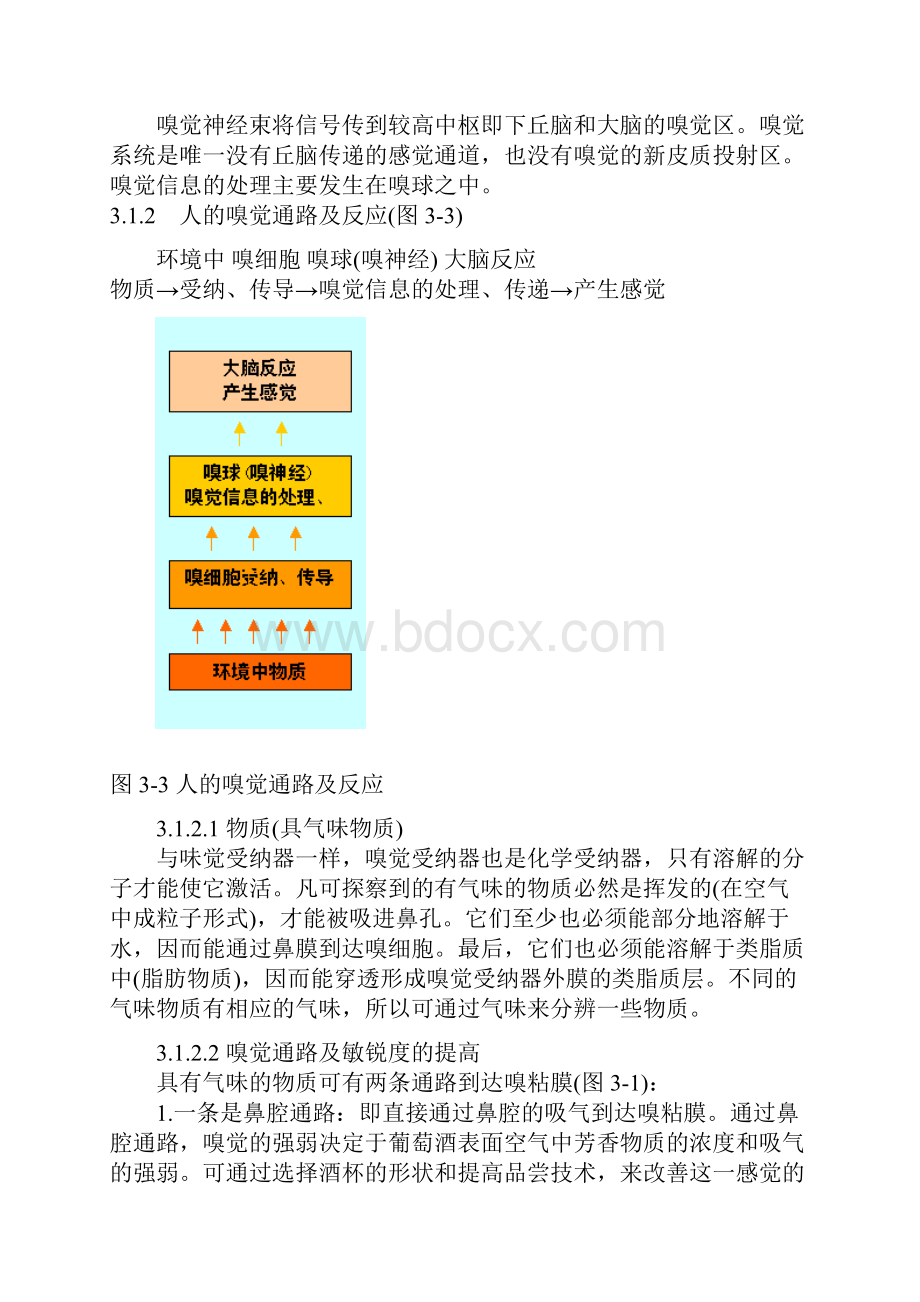 葡萄酒品尝学.docx_第3页