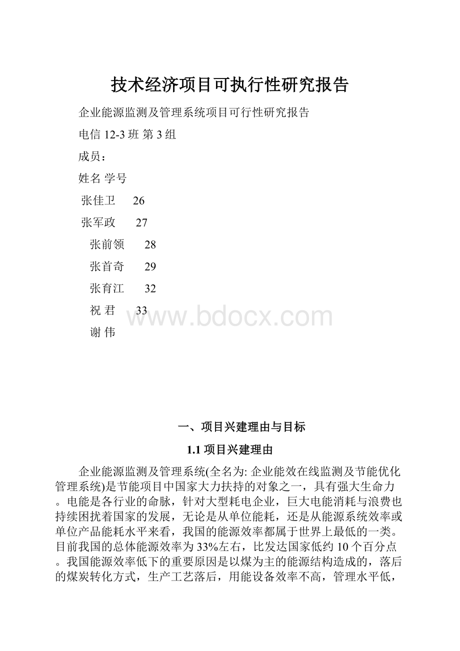 技术经济项目可执行性研究报告Word文档格式.docx