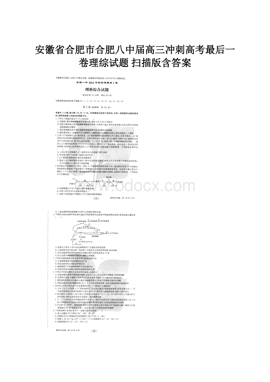 安徽省合肥市合肥八中届高三冲刺高考最后一卷理综试题 扫描版含答案Word下载.docx_第1页