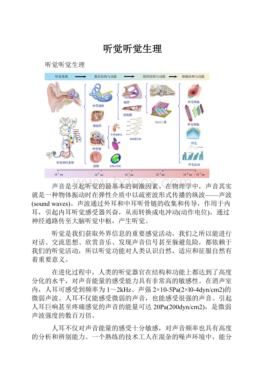 听觉听觉生理Word格式文档下载.docx_第1页