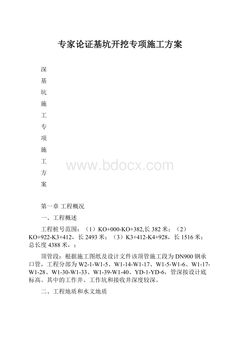 专家论证基坑开挖专项施工方案Word文档格式.docx