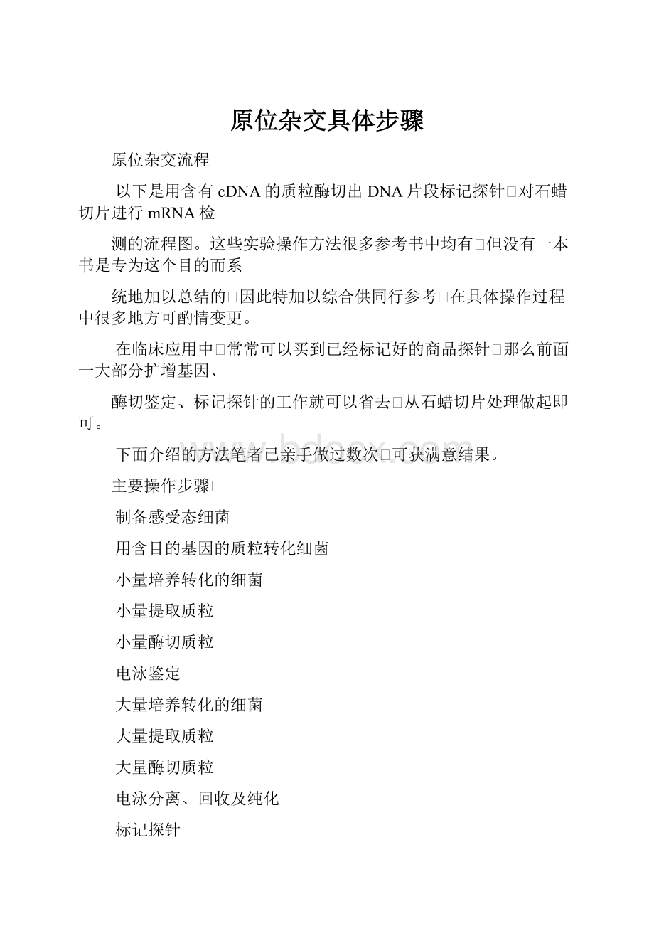 原位杂交具体步骤Word格式文档下载.docx