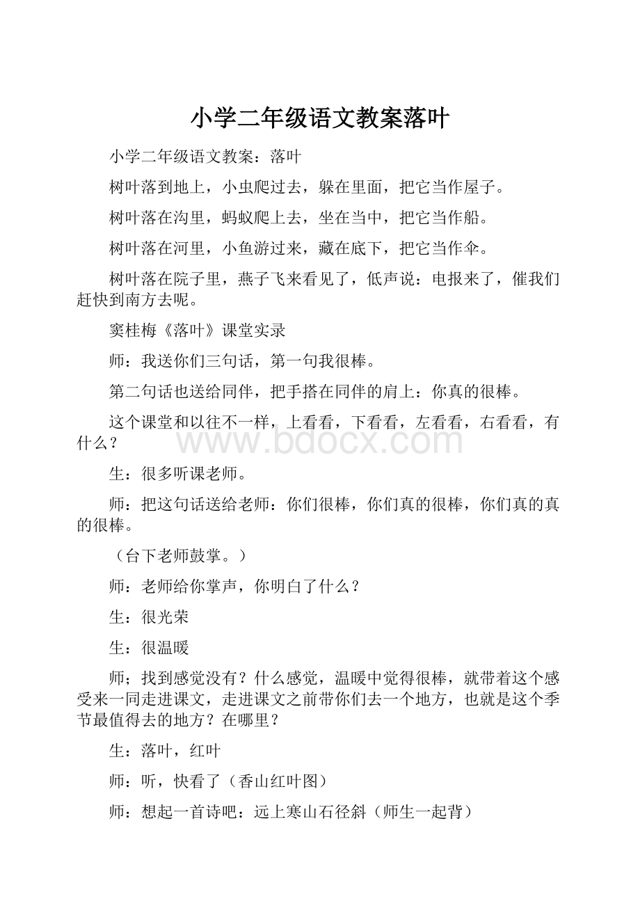 小学二年级语文教案落叶Word格式.docx_第1页