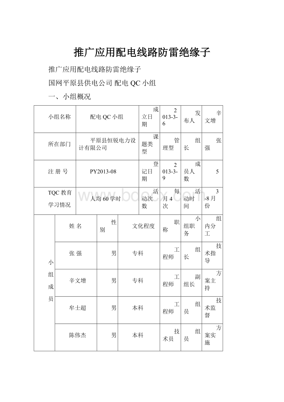 推广应用配电线路防雷绝缘子.docx_第1页