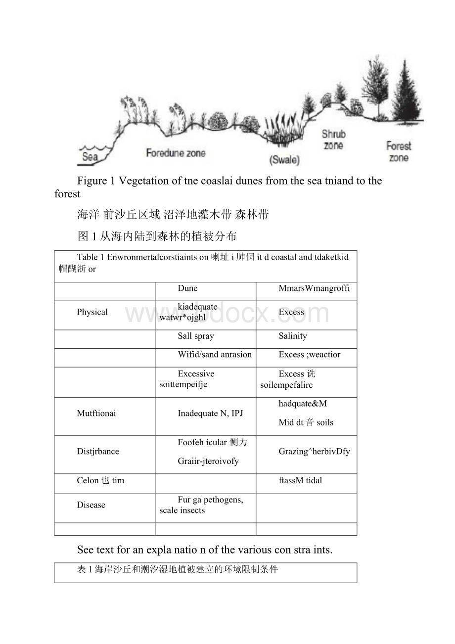 海岸带的修复Word格式.docx_第3页