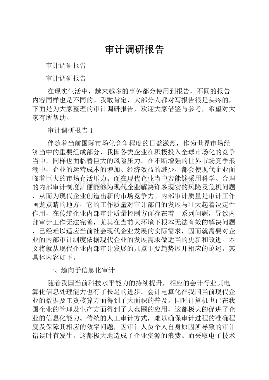 审计调研报告Word文档格式.docx_第1页