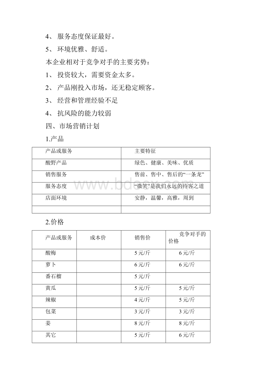 相约酸野创业计划书文档格式.docx_第3页