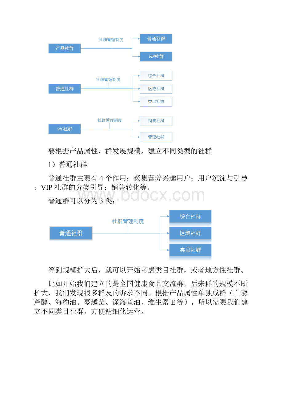 社群运营方案说明文档格式.docx_第2页