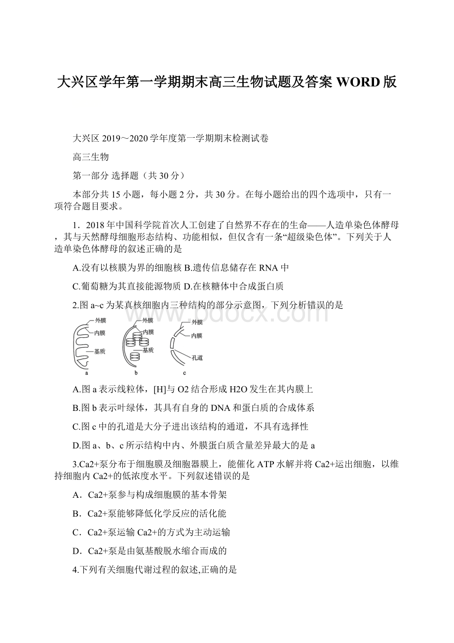 大兴区学年第一学期期末高三生物试题及答案WORD版Word文件下载.docx_第1页