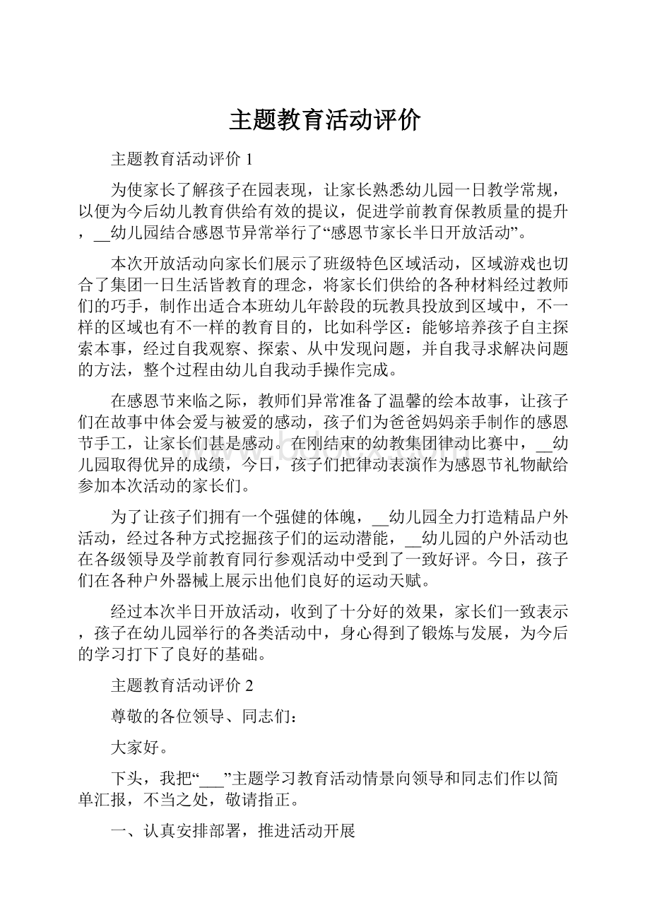 主题教育活动评价Word文档格式.docx