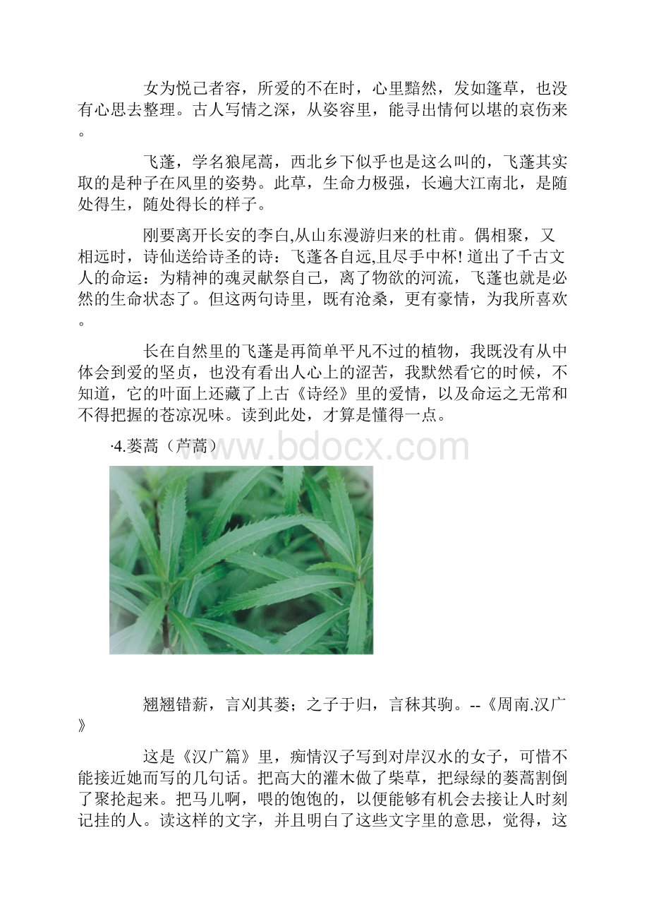 《诗经》中的植物.docx_第3页