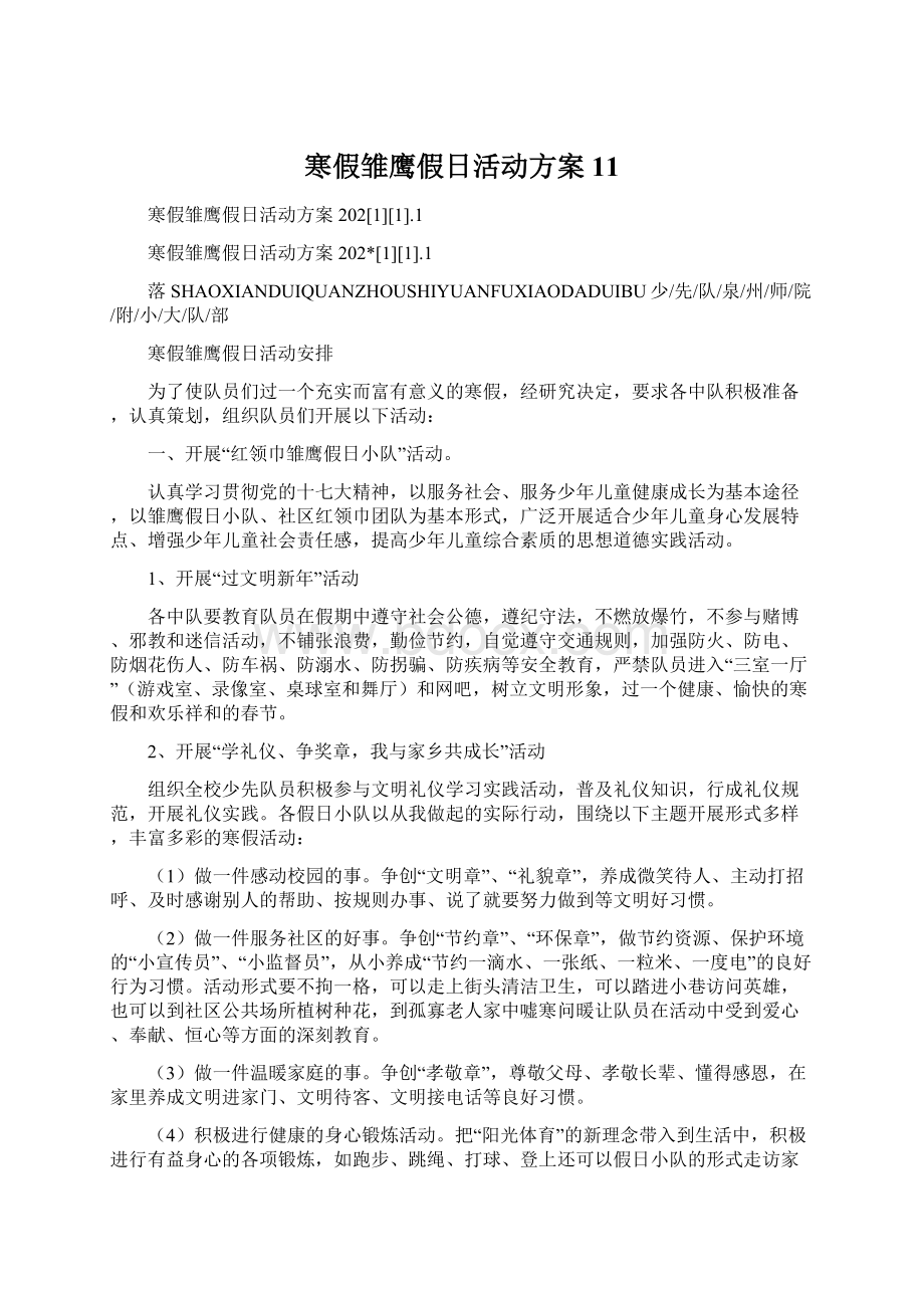 寒假雏鹰假日活动方案11.docx