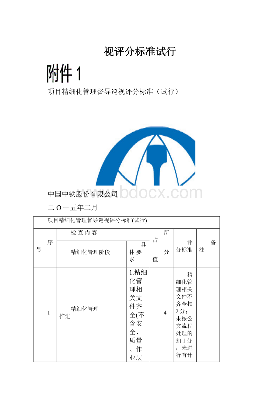 视评分标准试行.docx_第1页