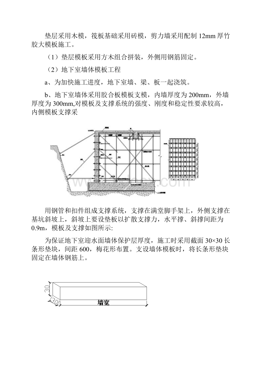 剪力墙模板施工方案.docx_第2页