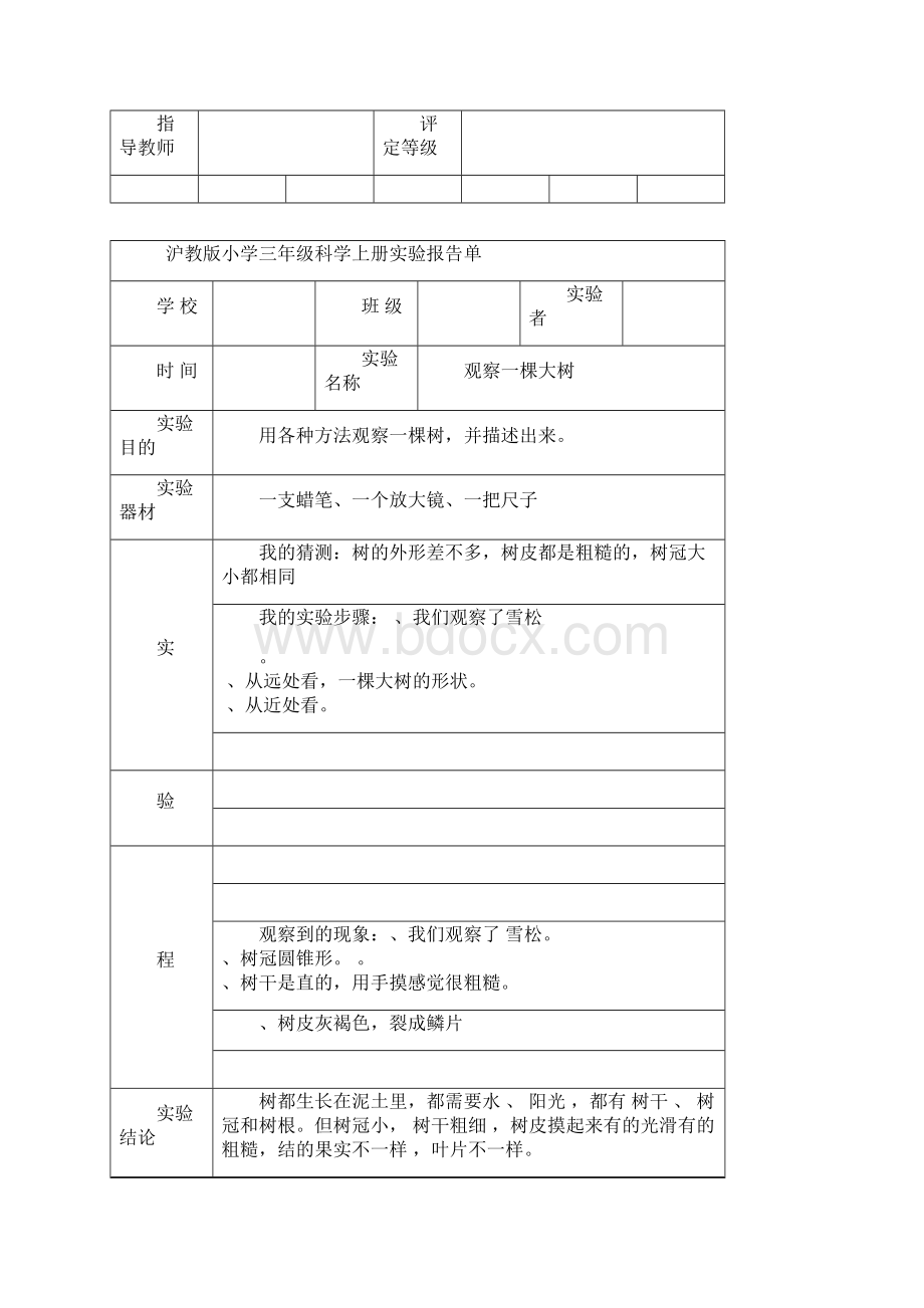 教科版小学三年级科学上册实验报告单.docx_第2页