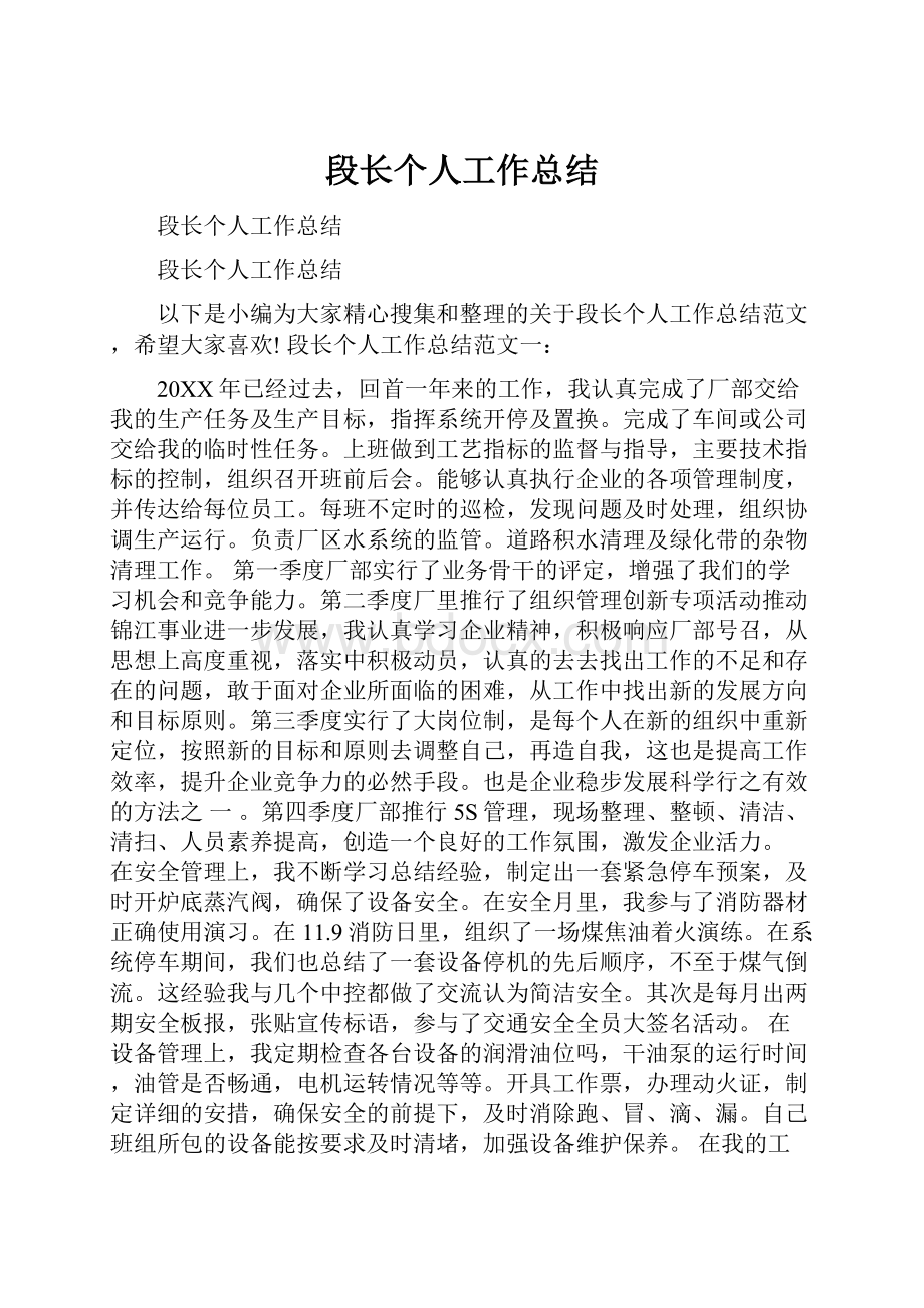 段长个人工作总结.docx_第1页