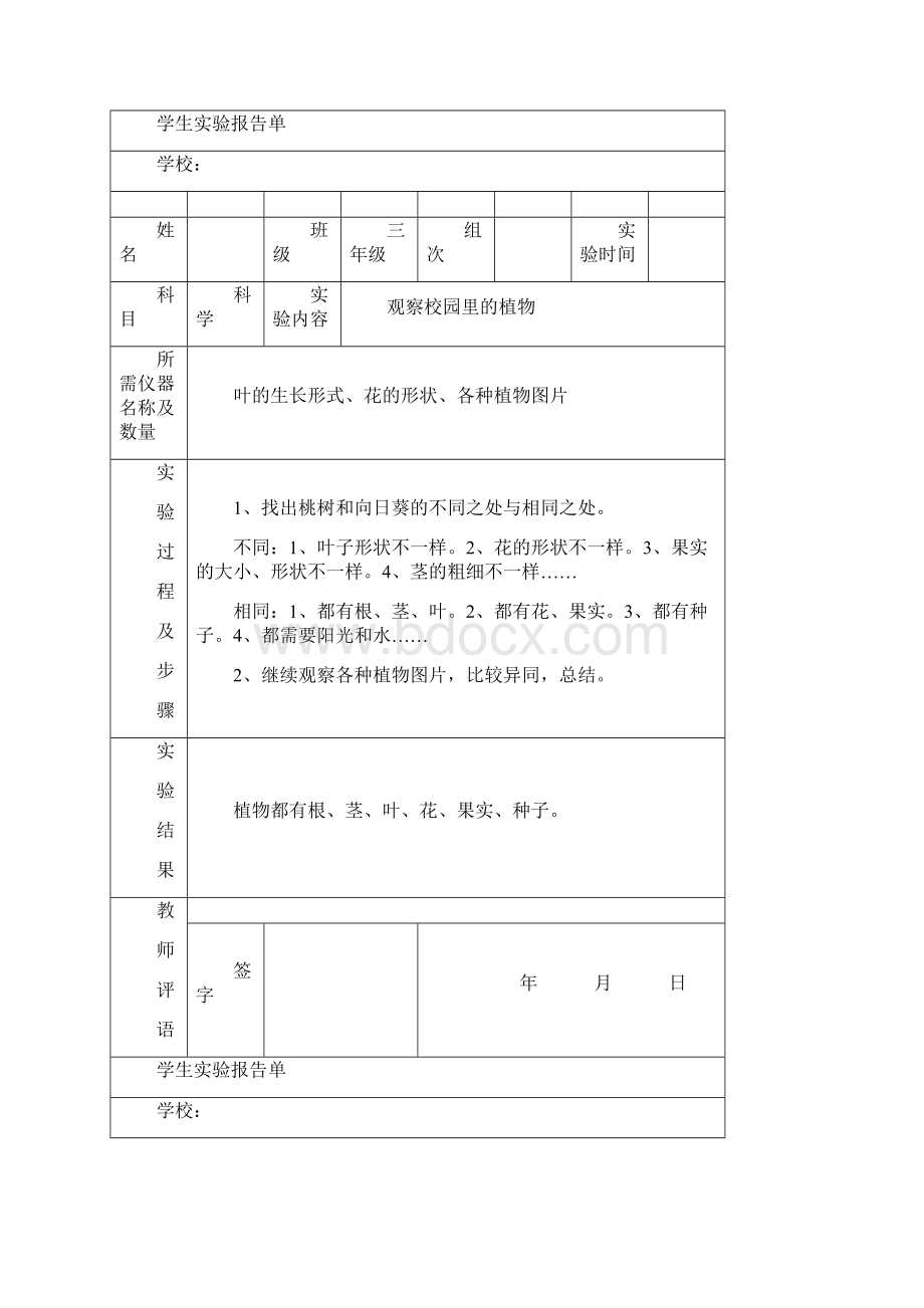 苏教版小学三年级上册科学实验报告单.docx_第3页