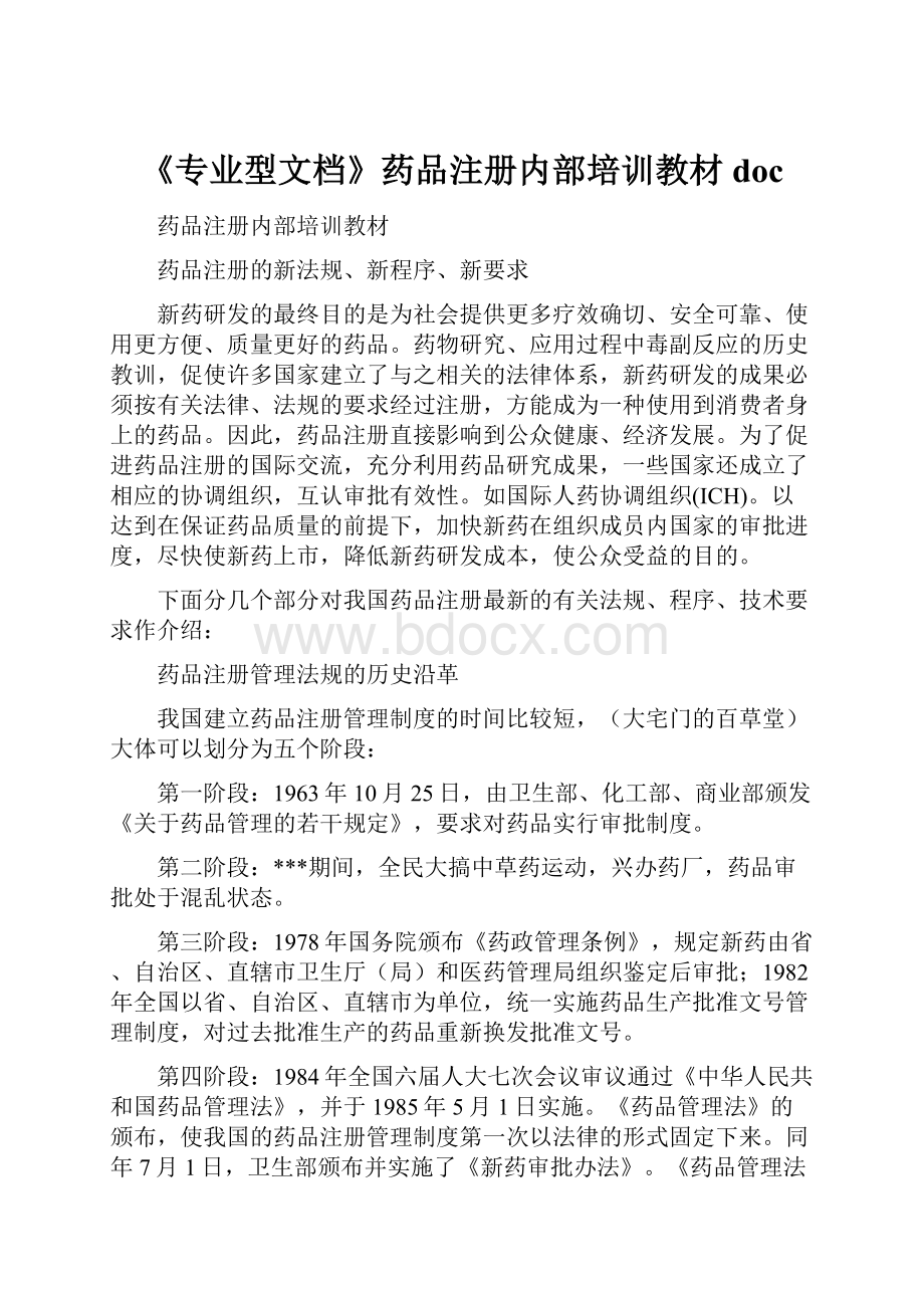 《专业型文档》药品注册内部培训教材doc.docx