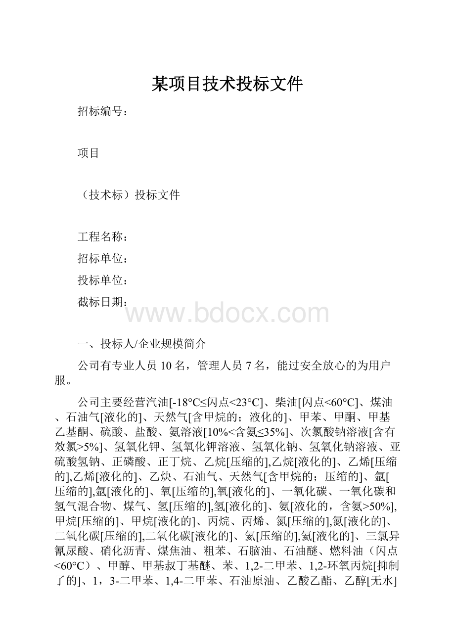 某项目技术投标文件Word下载.docx_第1页