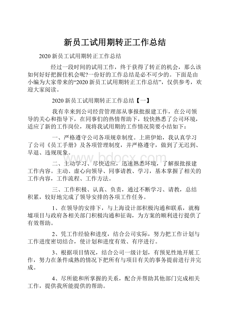 新员工试用期转正工作总结.docx_第1页