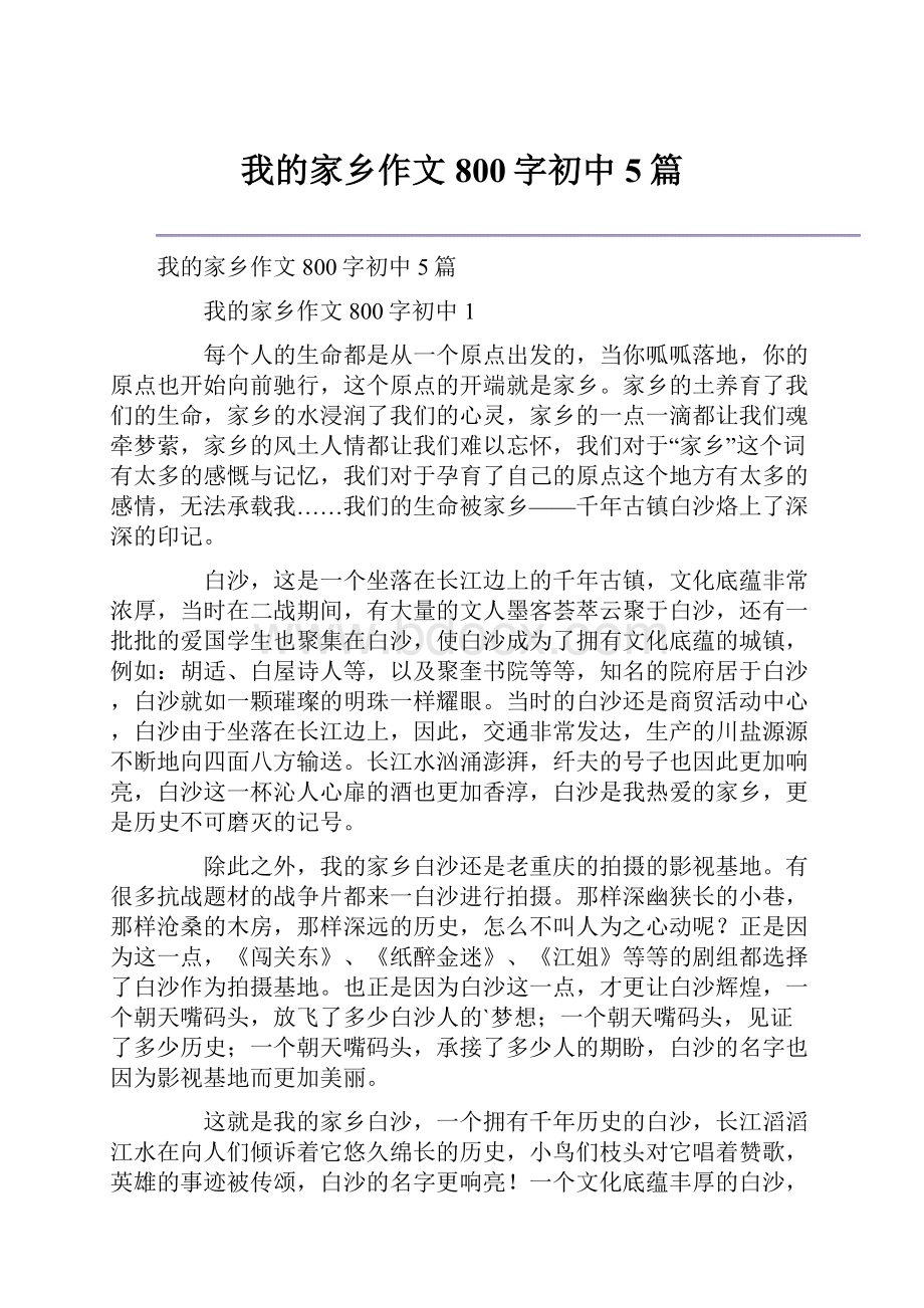 我的家乡作文800字初中5篇Word文档下载推荐.docx