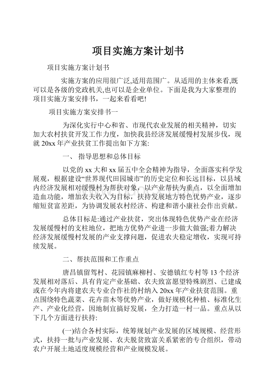 项目实施方案计划书Word文件下载.docx