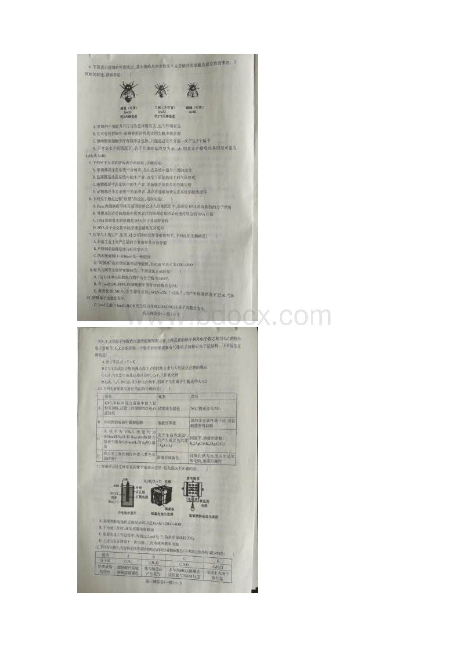 辽宁省辽南协作体届高三理综下学期第一次模拟考试试题扫描版Word文件下载.docx_第2页