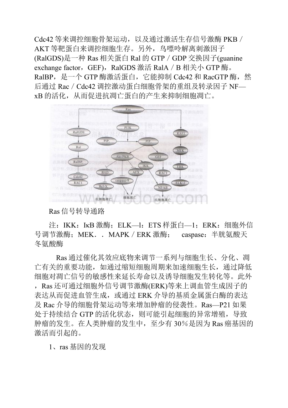 ras通路.docx_第2页