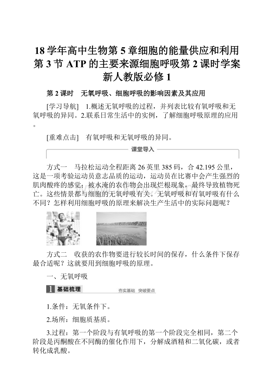 18学年高中生物第5章细胞的能量供应和利用第3节ATP的主要来源细胞呼吸第2课时学案新人教版必修1.docx_第1页