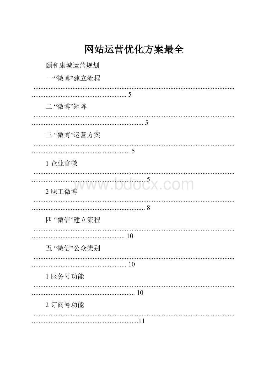 网站运营优化方案最全Word格式文档下载.docx