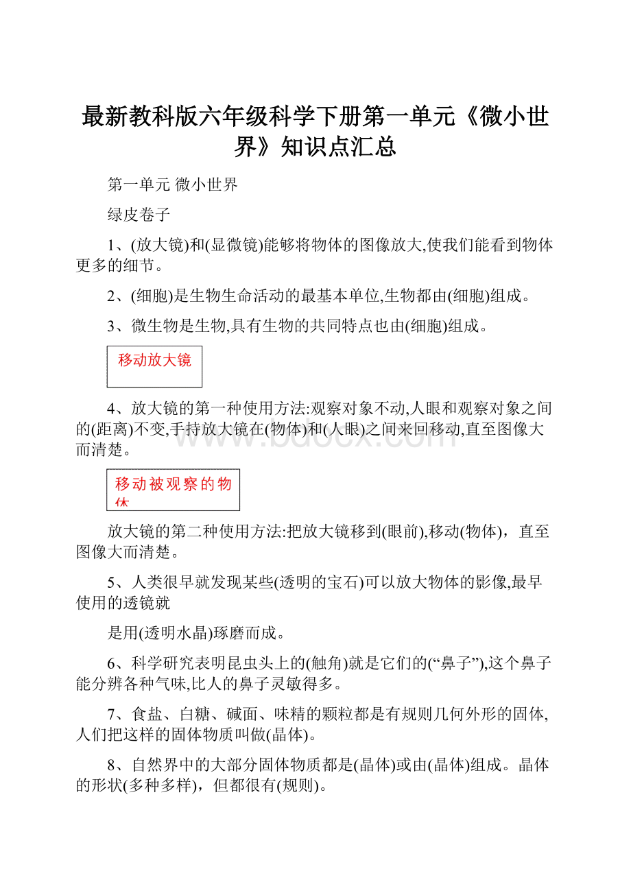 最新教科版六年级科学下册第一单元《微小世界》知识点汇总.docx