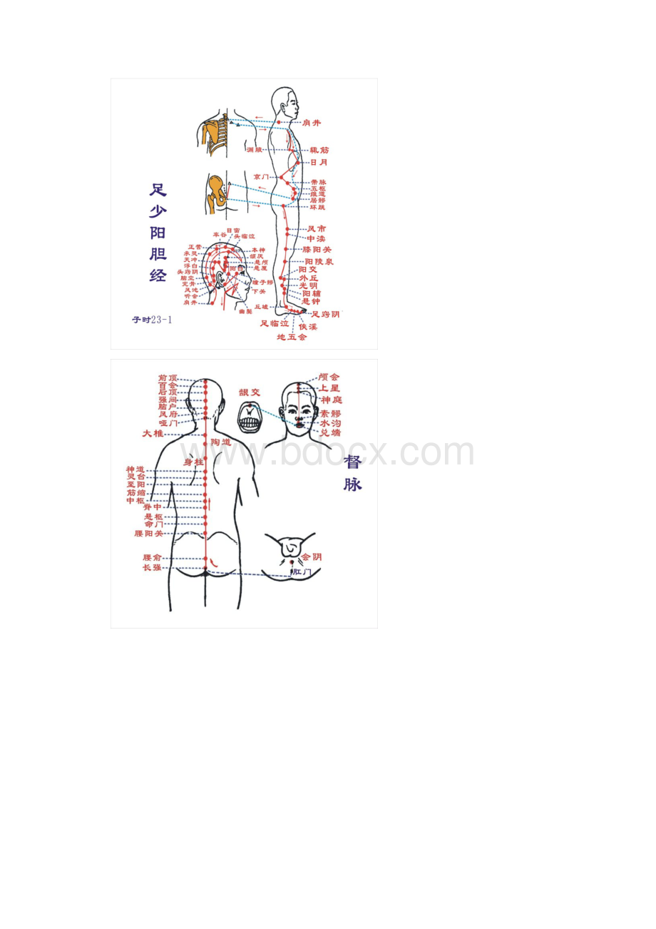 人体穴位脉络大全图解.docx_第3页