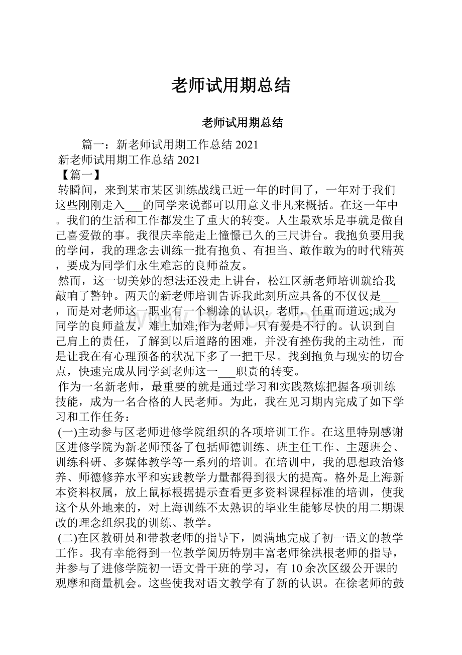 老师试用期总结Word格式文档下载.docx