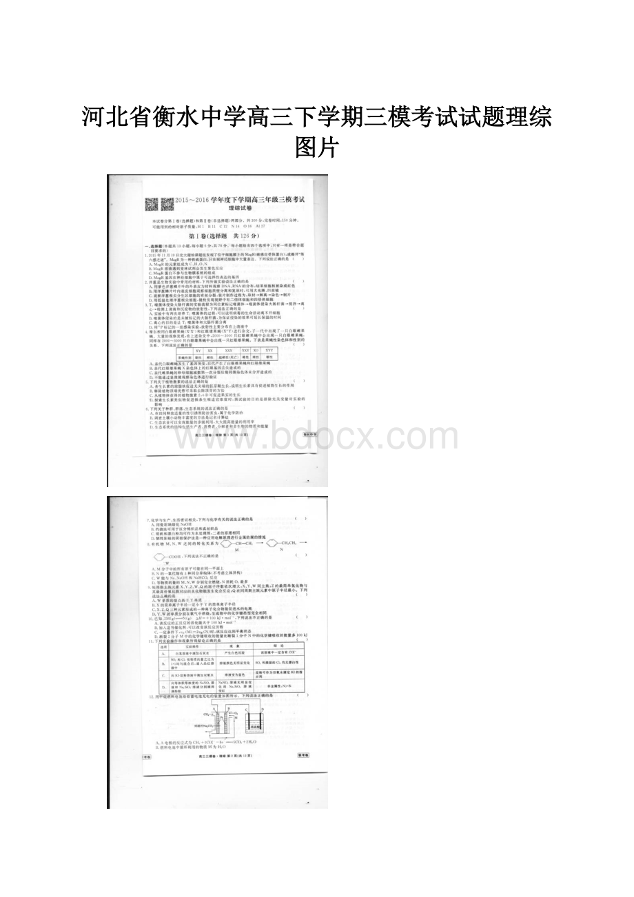 河北省衡水中学高三下学期三模考试试题理综图片Word文档下载推荐.docx