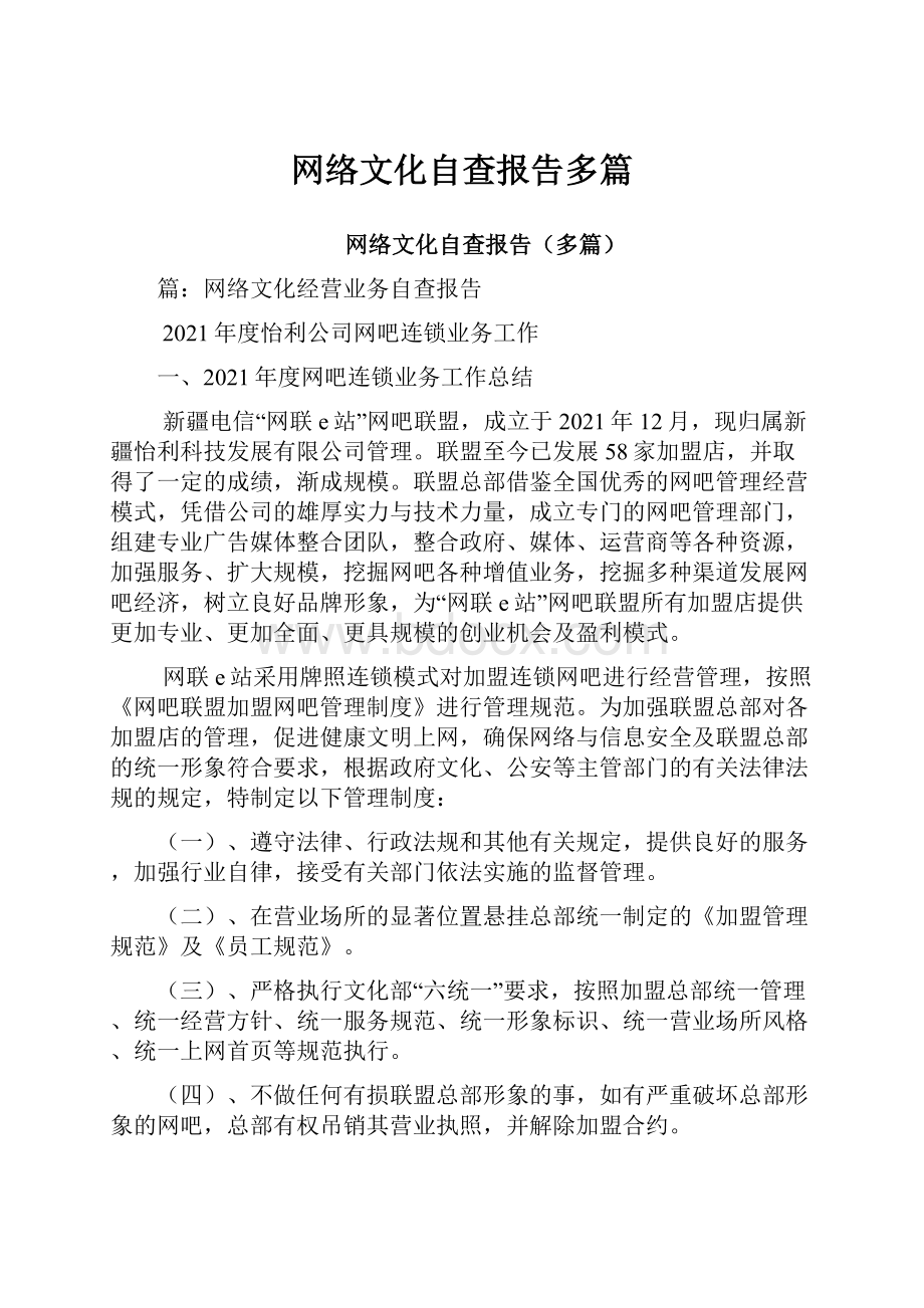 网络文化自查报告多篇Word格式文档下载.docx