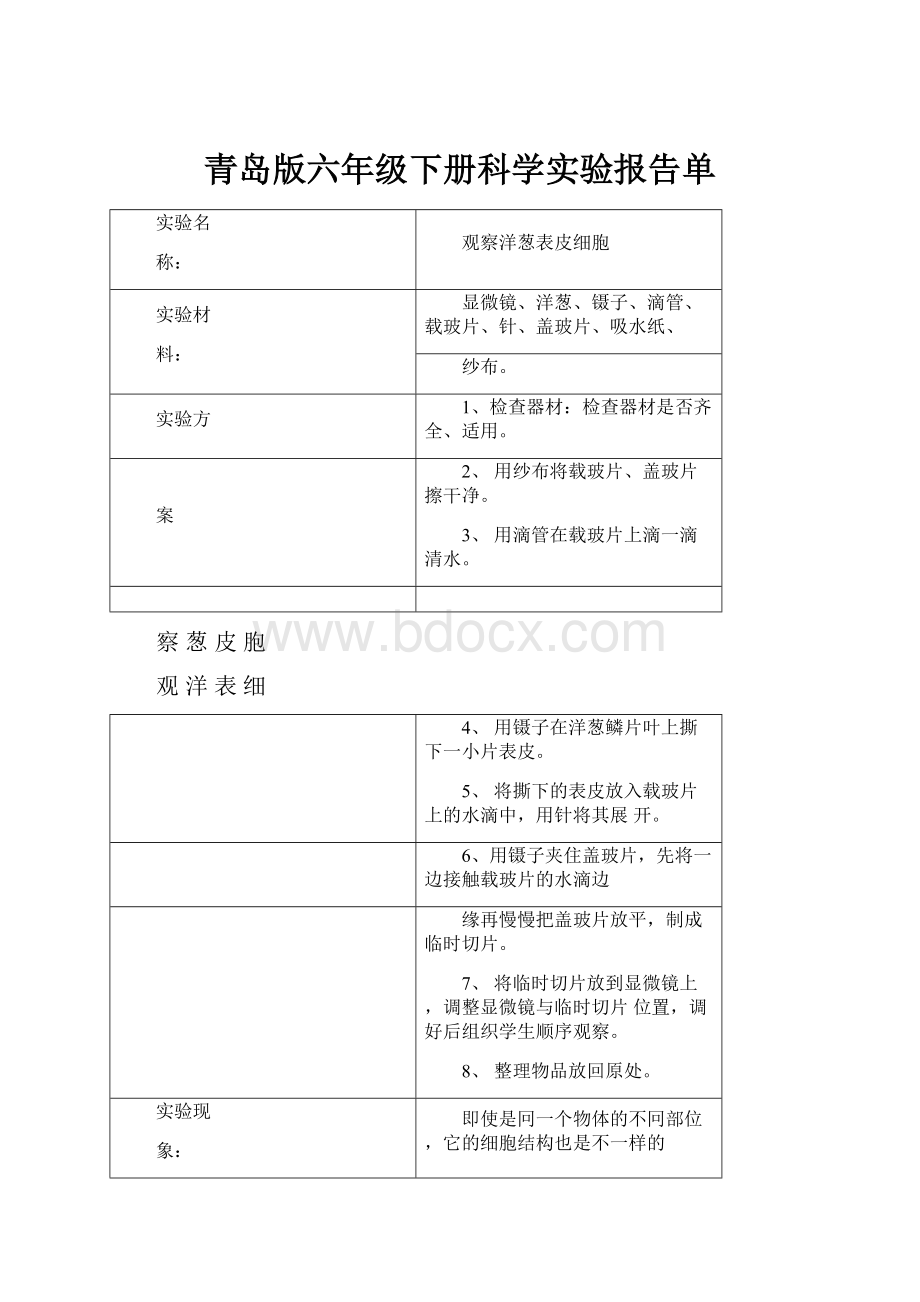 青岛版六年级下册科学实验报告单Word格式文档下载.docx