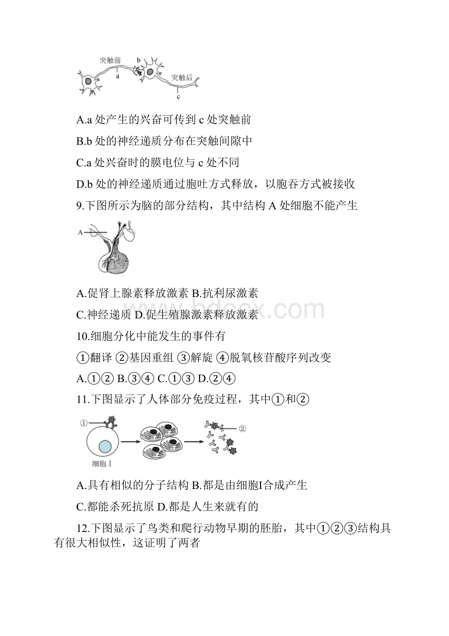 上海市虹口区高三二模生物试题Word版含答案Word文件下载.docx_第3页