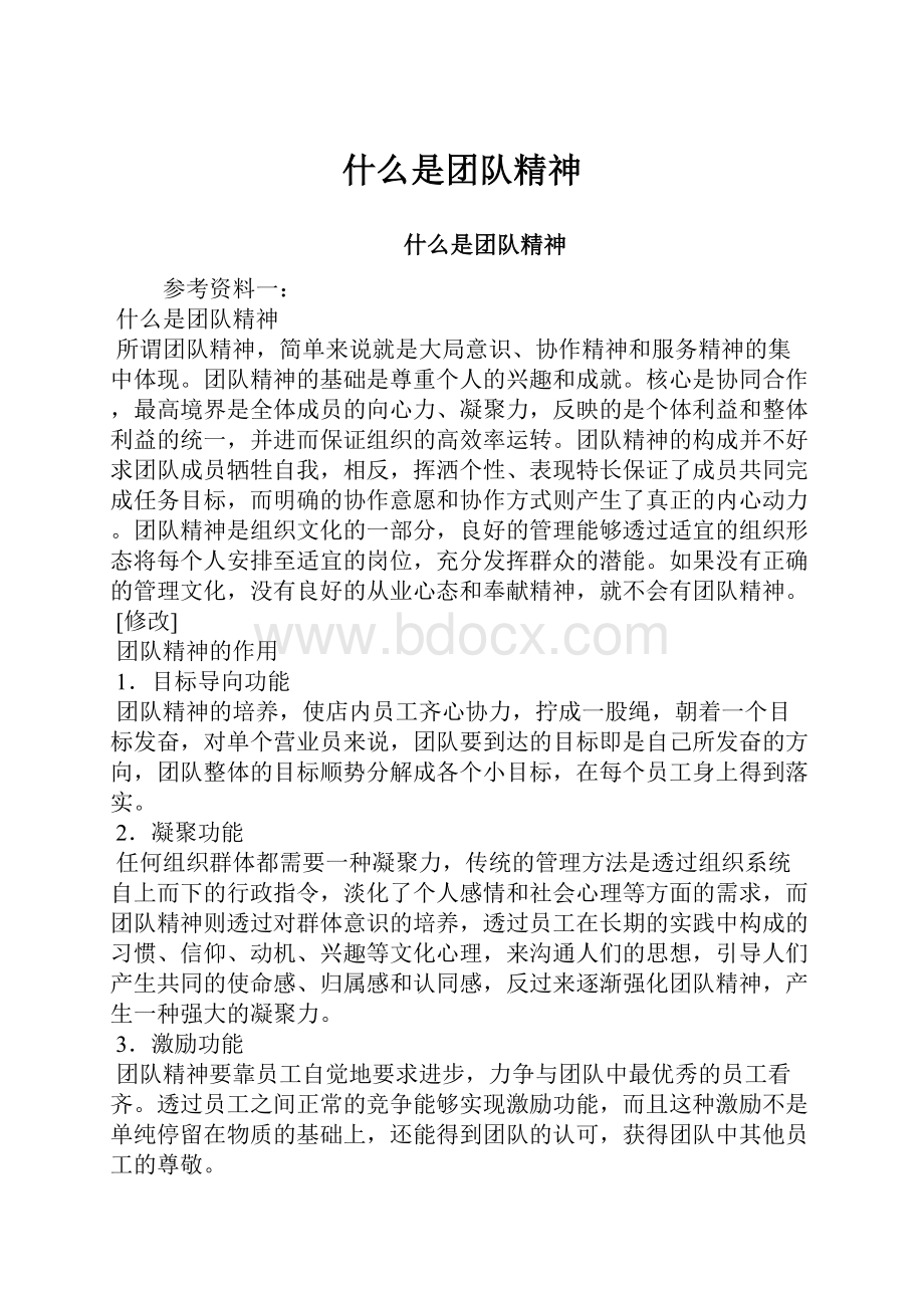 什么是团队精神Word文件下载.docx_第1页