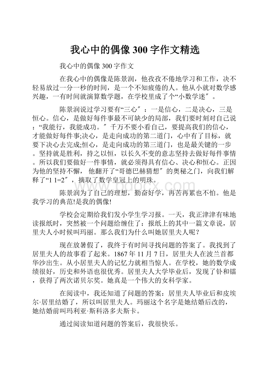 我心中的偶像300字作文精选.docx