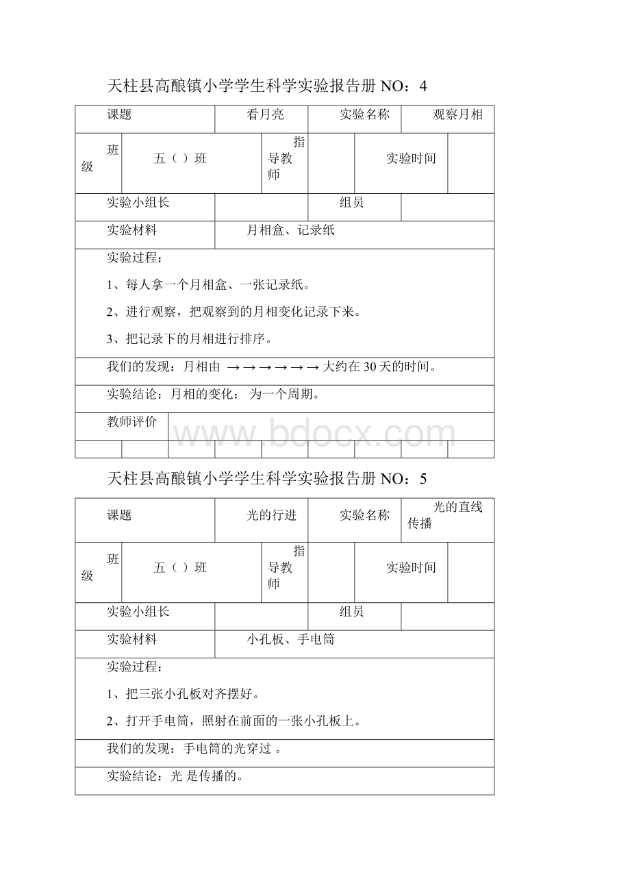 苏教版小学五年级科学上册实验报告册文档格式.docx_第3页