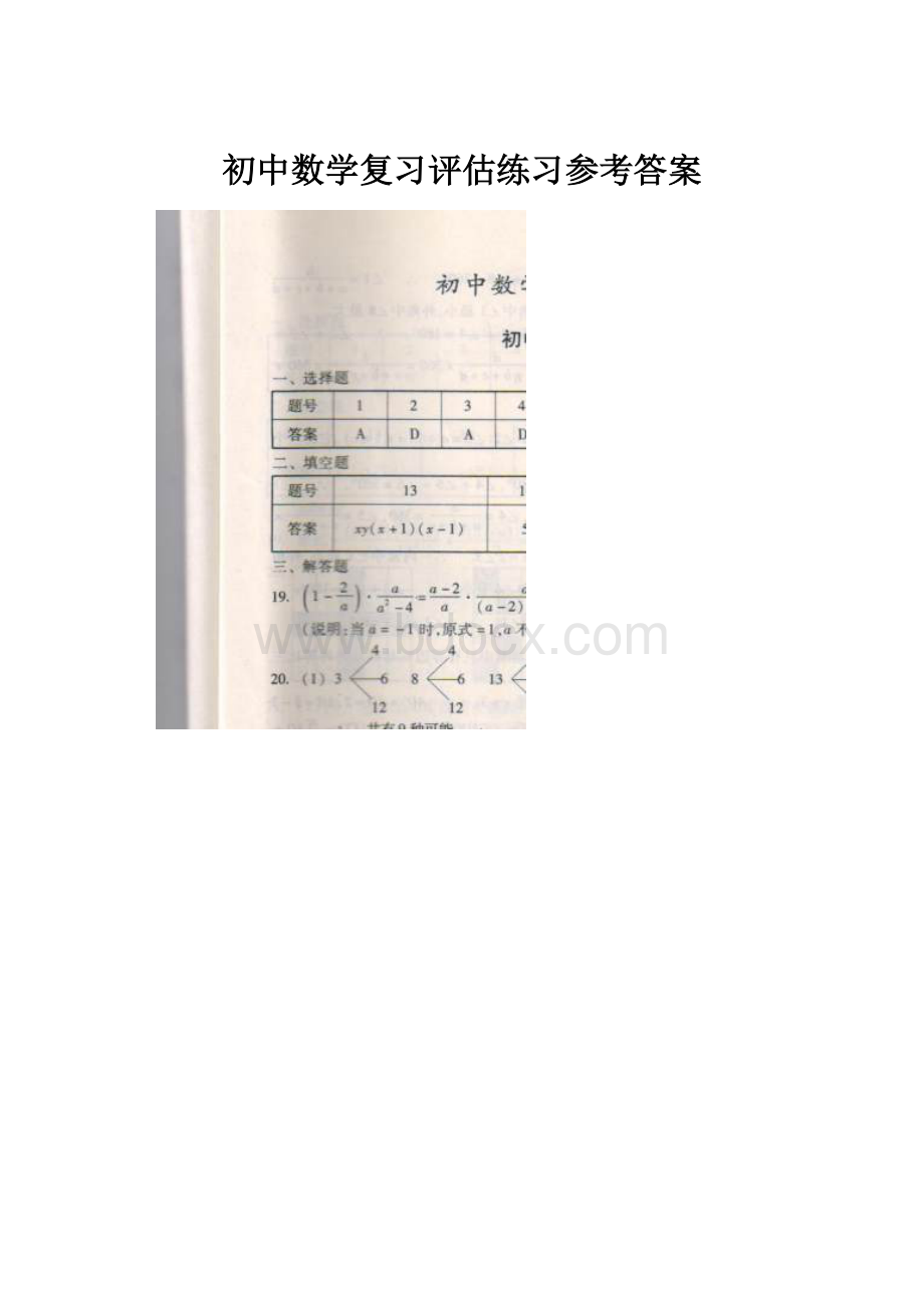 初中数学复习评估练习参考答案Word文档格式.docx