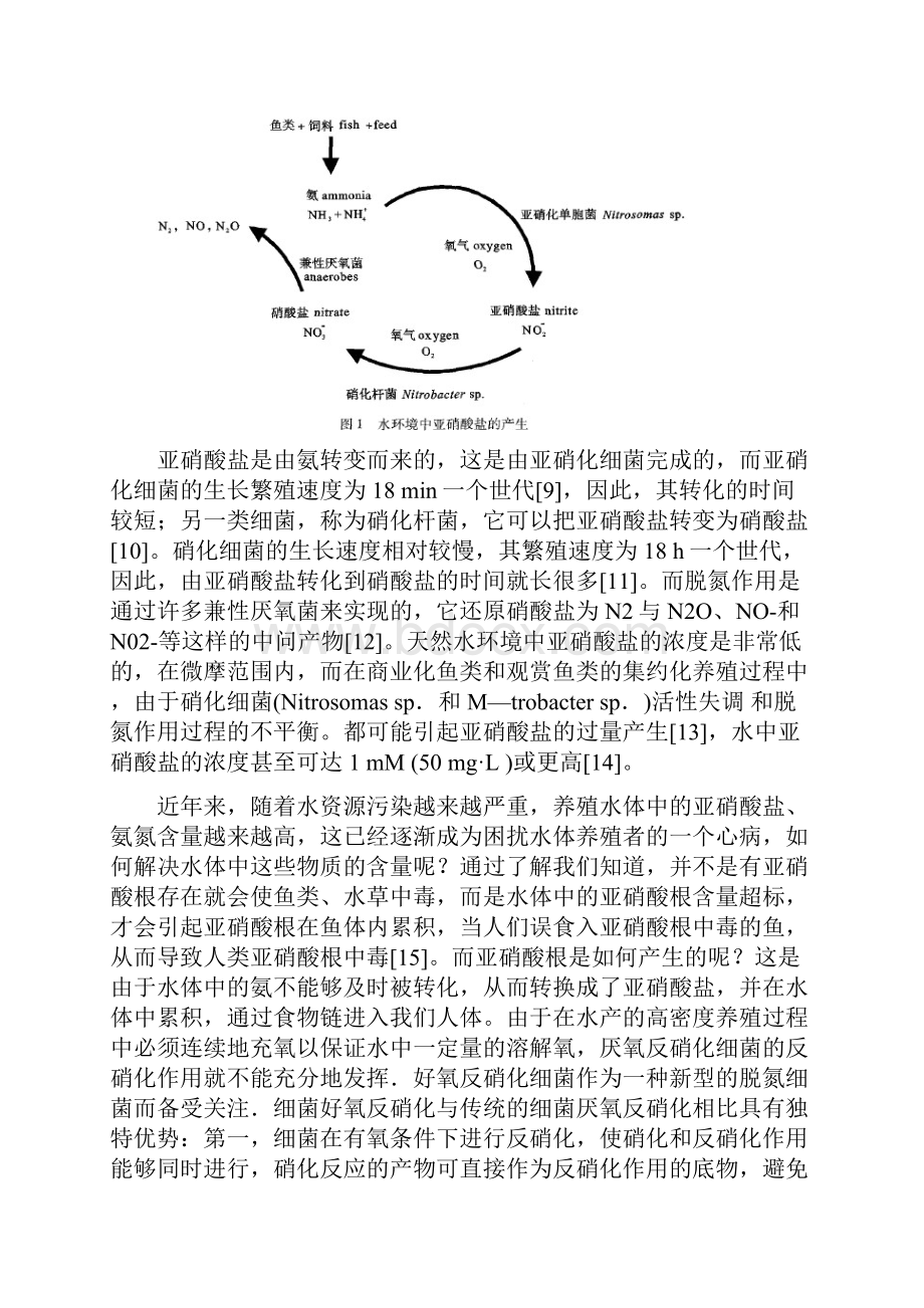 降解亚硝酸根菌种的筛选.docx_第3页