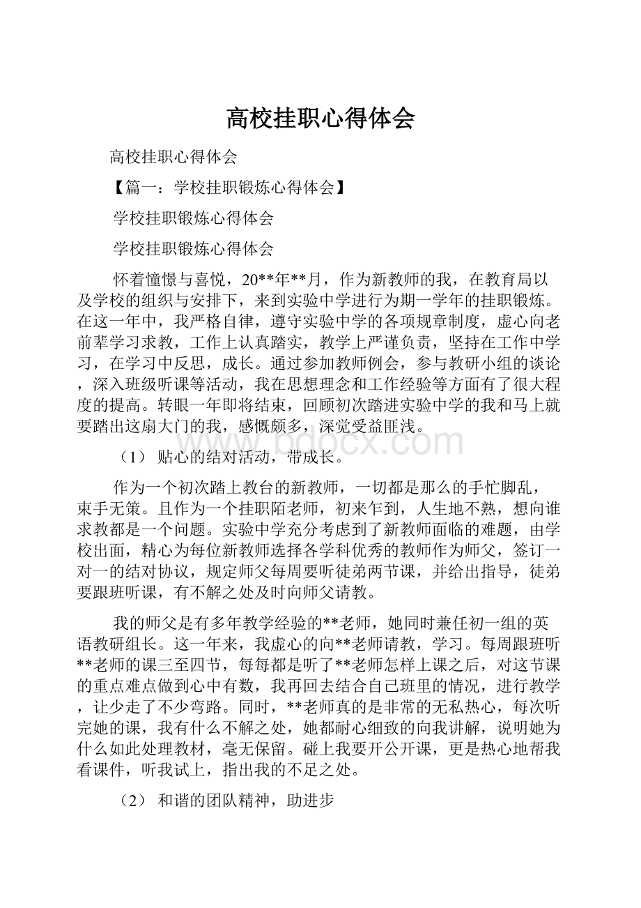 高校挂职心得体会Word文档格式.docx